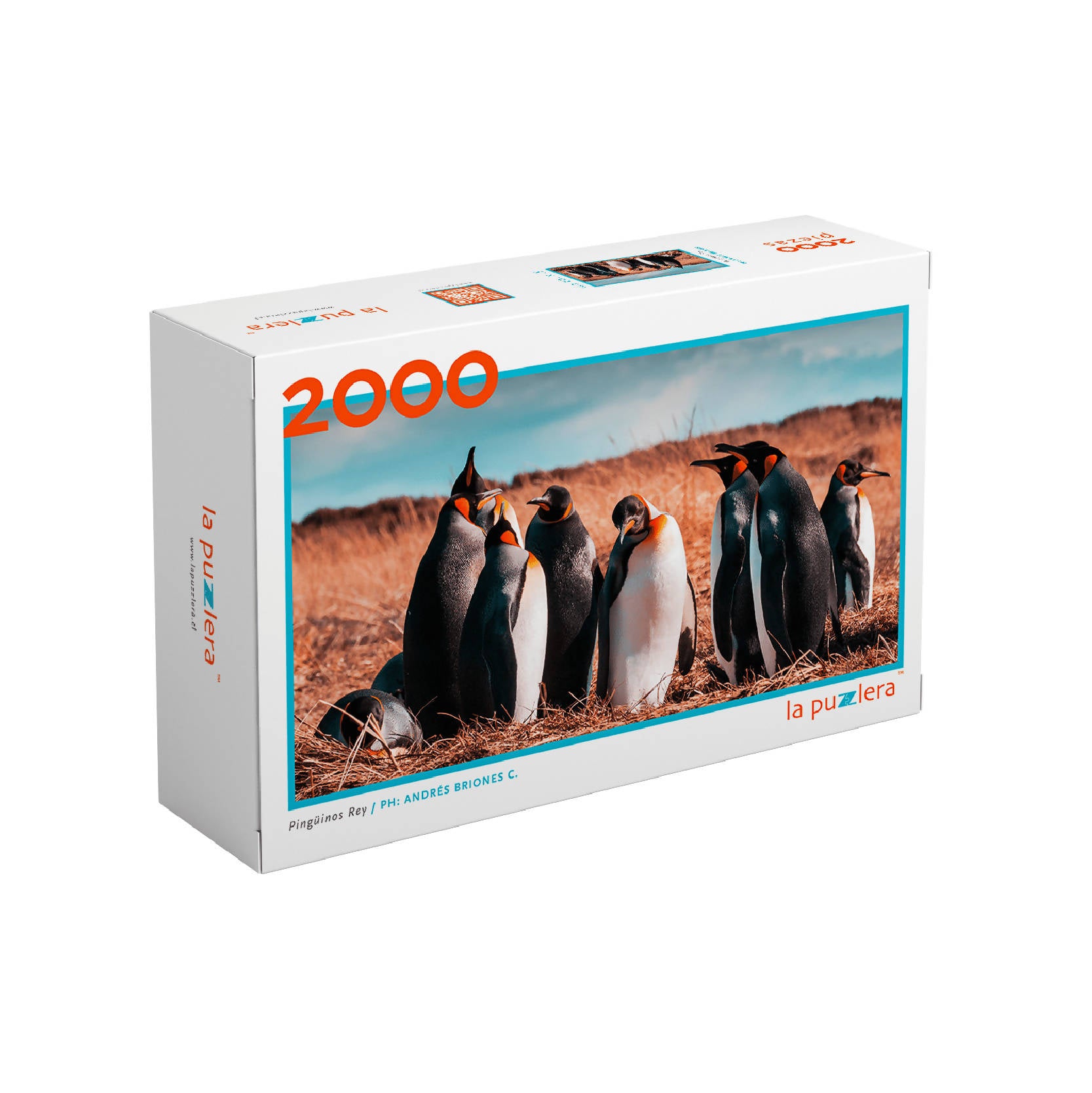 Puzzle Pinguino Rey 2000 Piezas