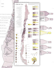 Vinos de Chile 2020 - Lámina - Mappin