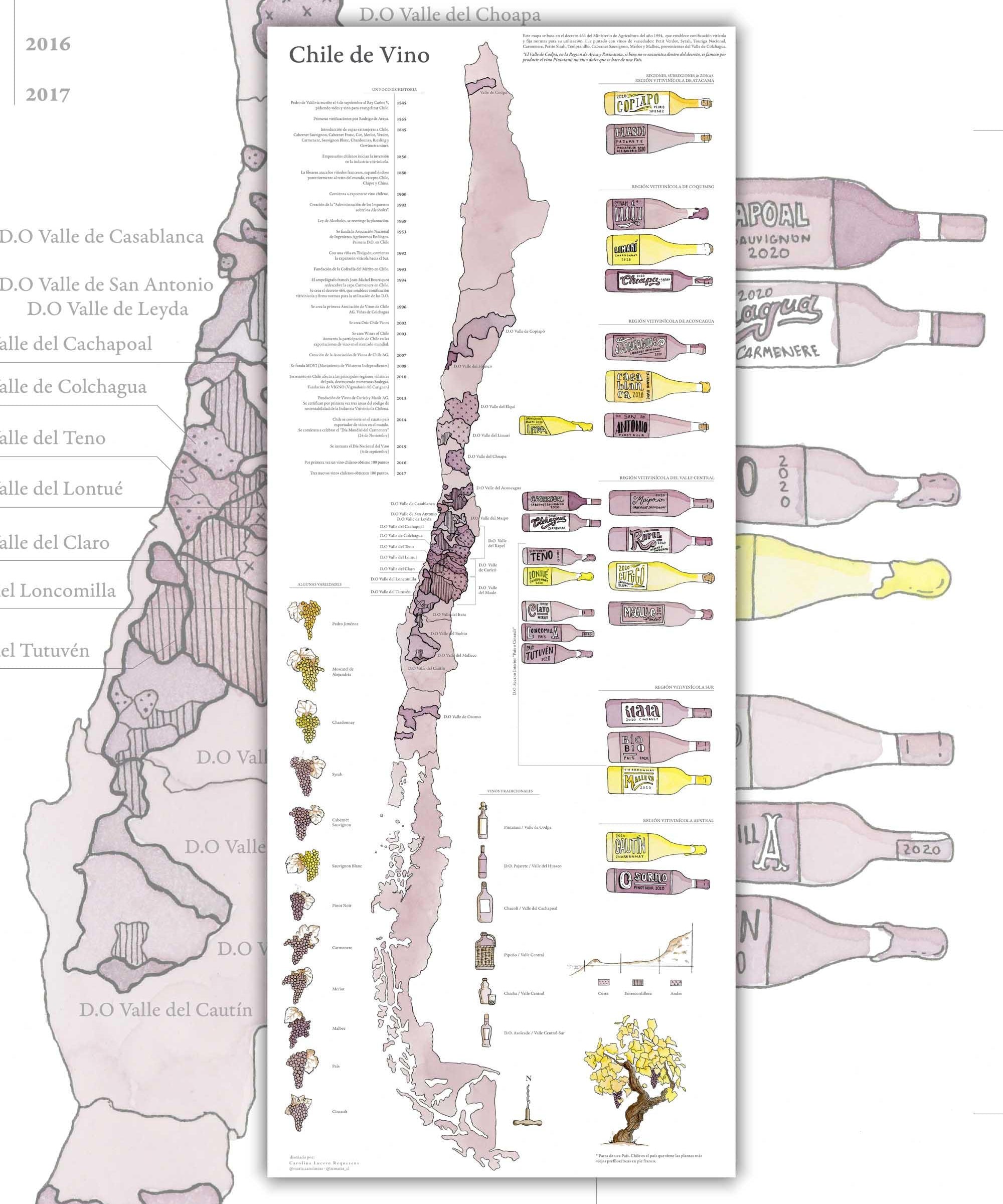 Vinos de Chile 2020 - Lámina - Mappin