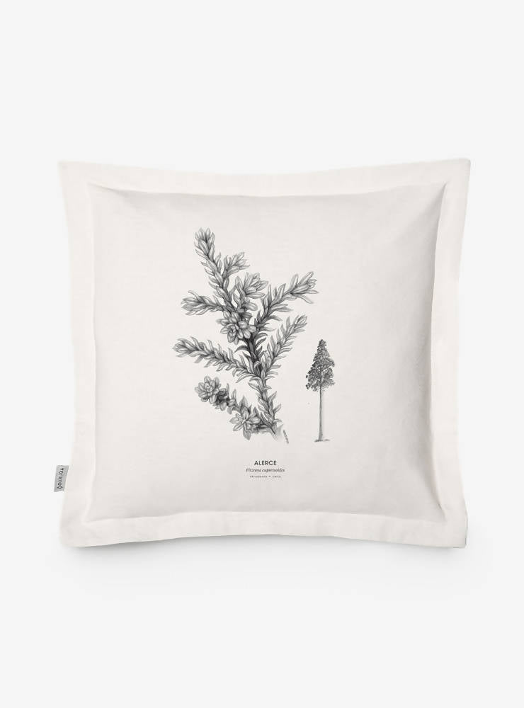 FUNDA COJÍN ALERCE