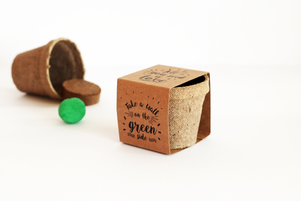 Kit Plantable - Kale