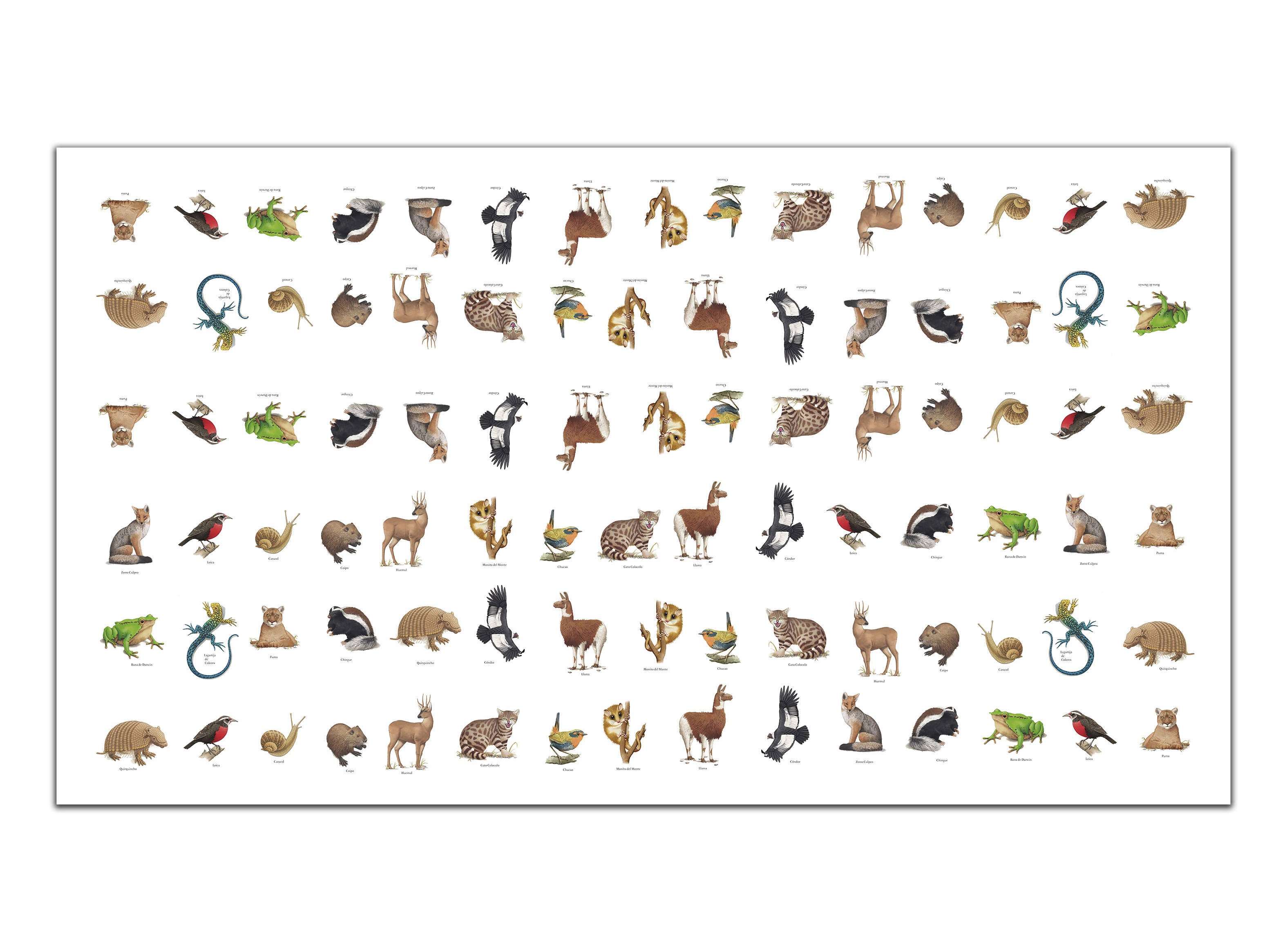 Mantel antimanchas Fauna Chilena