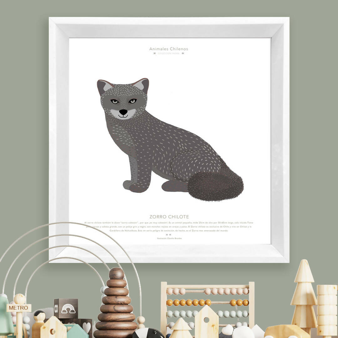 Cuadro ZORRO CHILOTE, COLECCION FAUNA CHILENA, 30X30CM