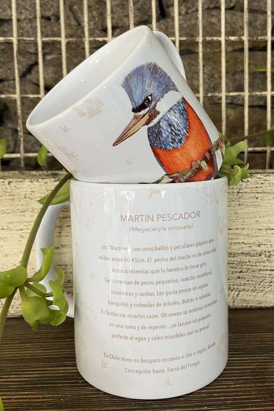 Tazón Martín Pescador, pajaritos chilenos