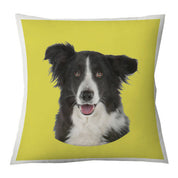 Cojín Color Border Collie, 45×45