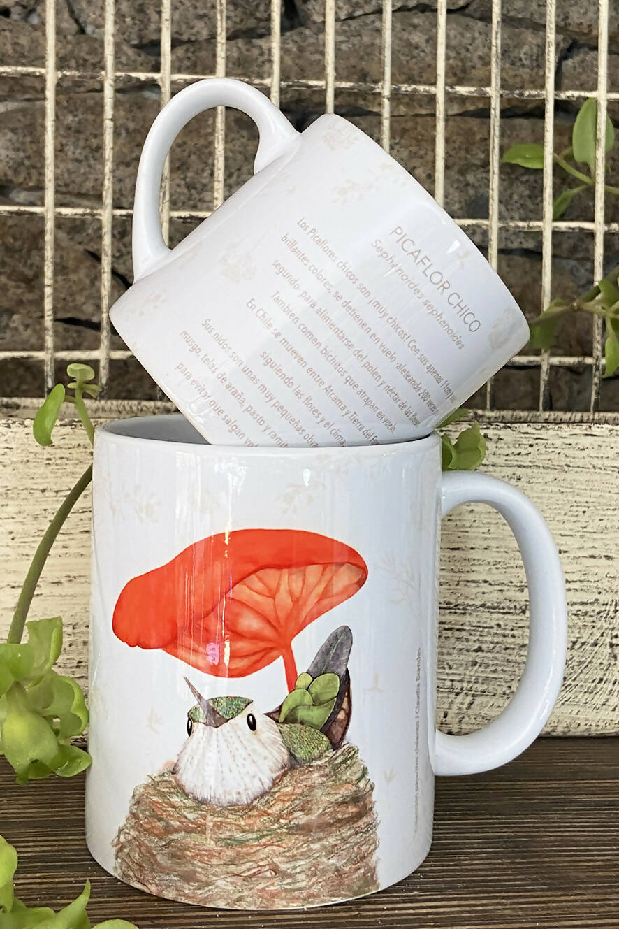 Tazón Picaflor, pajaritos chilenos