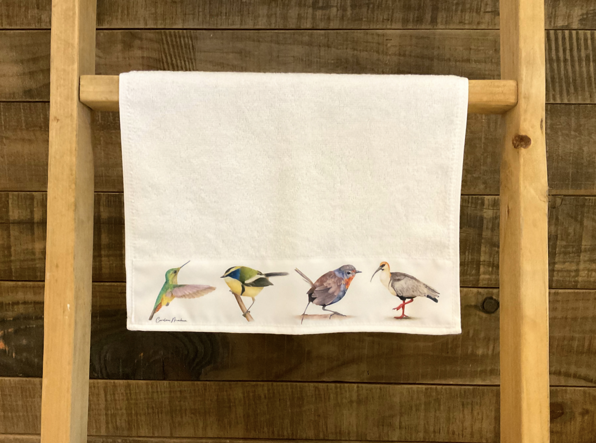 Toallita visita Picaflor, Siete colores, Chucao y Bandurria