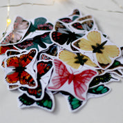 Set de stickers pequeños