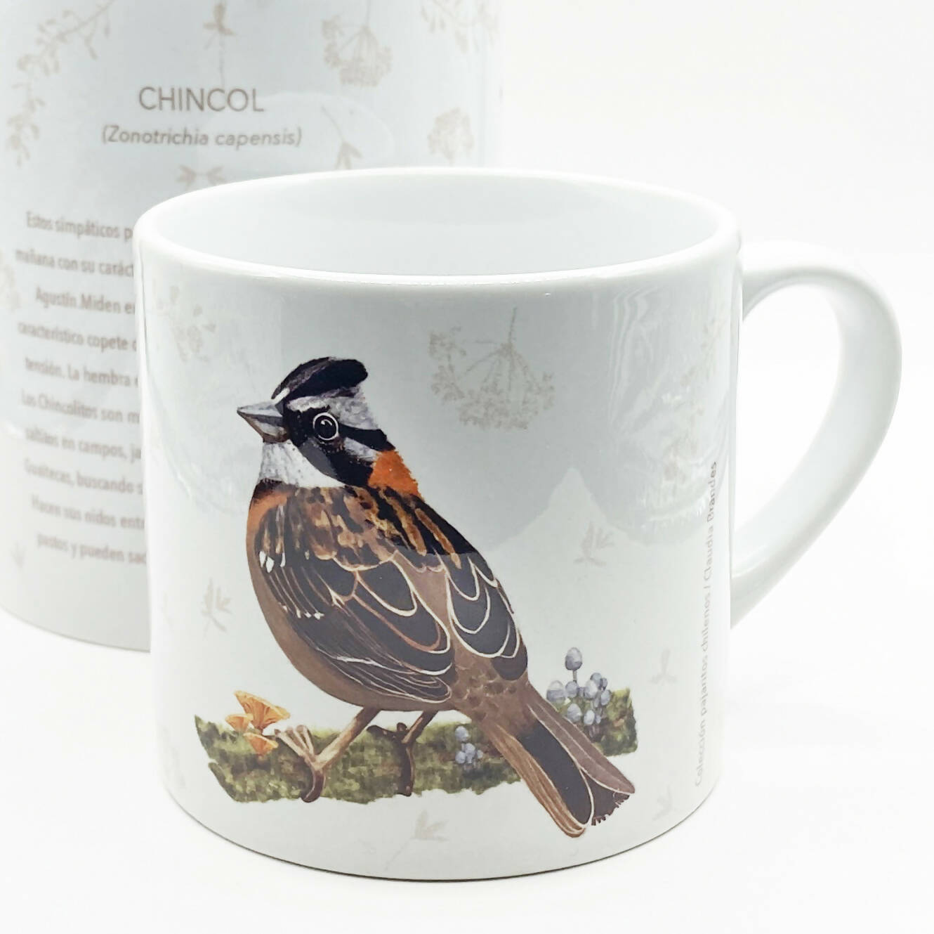 Taza cafe chincol