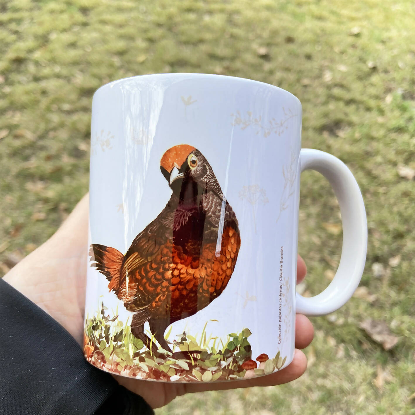 tazon hued hued 2 copia