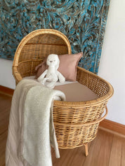 WhatsApp Image 2023-10-25 at 11.22.37