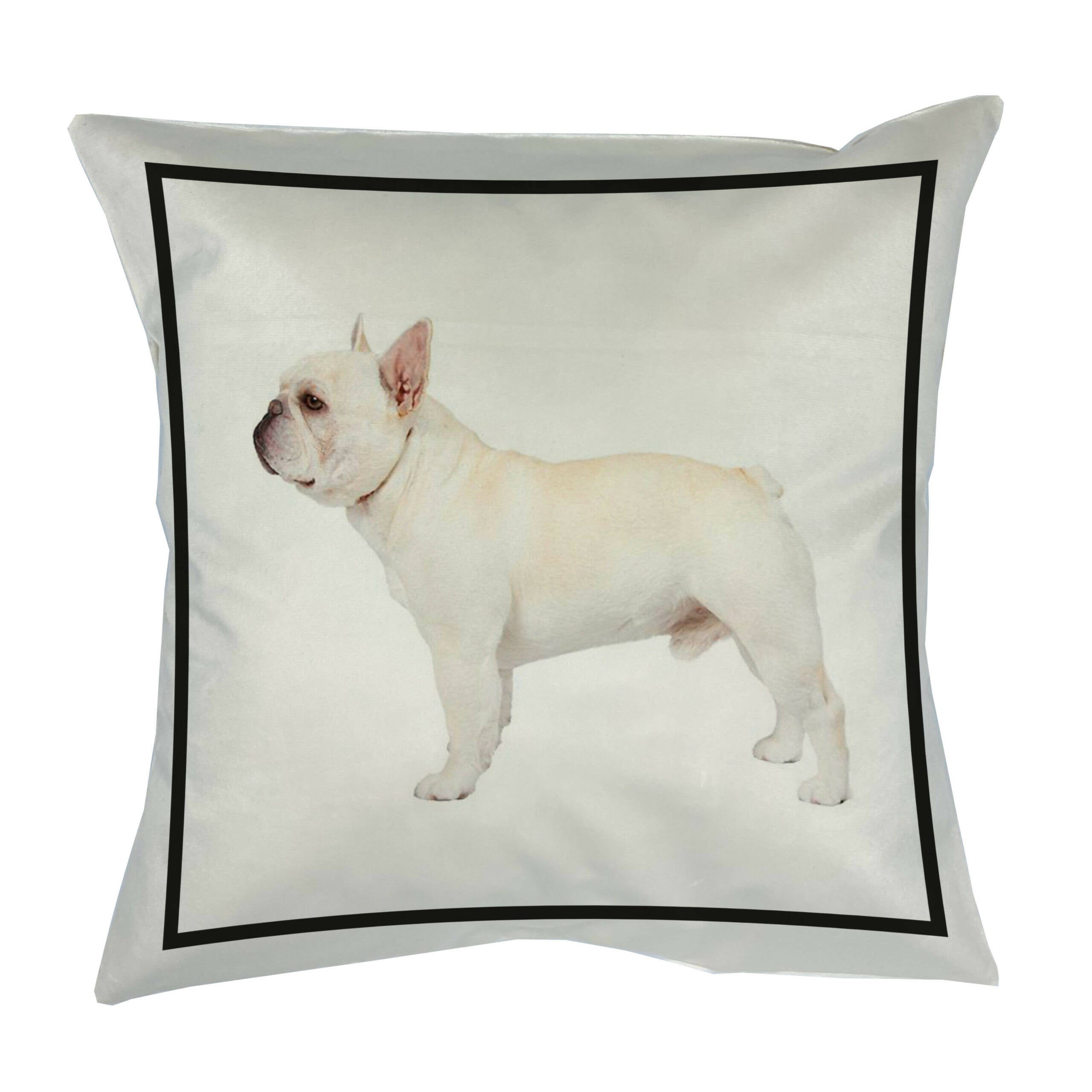 Cojín Classic Bulldog Frances Blanco, 45×45