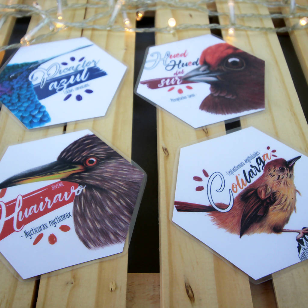 Juego Memorice: Aves de Chile