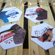 Juego Memorice: Aves de Chile