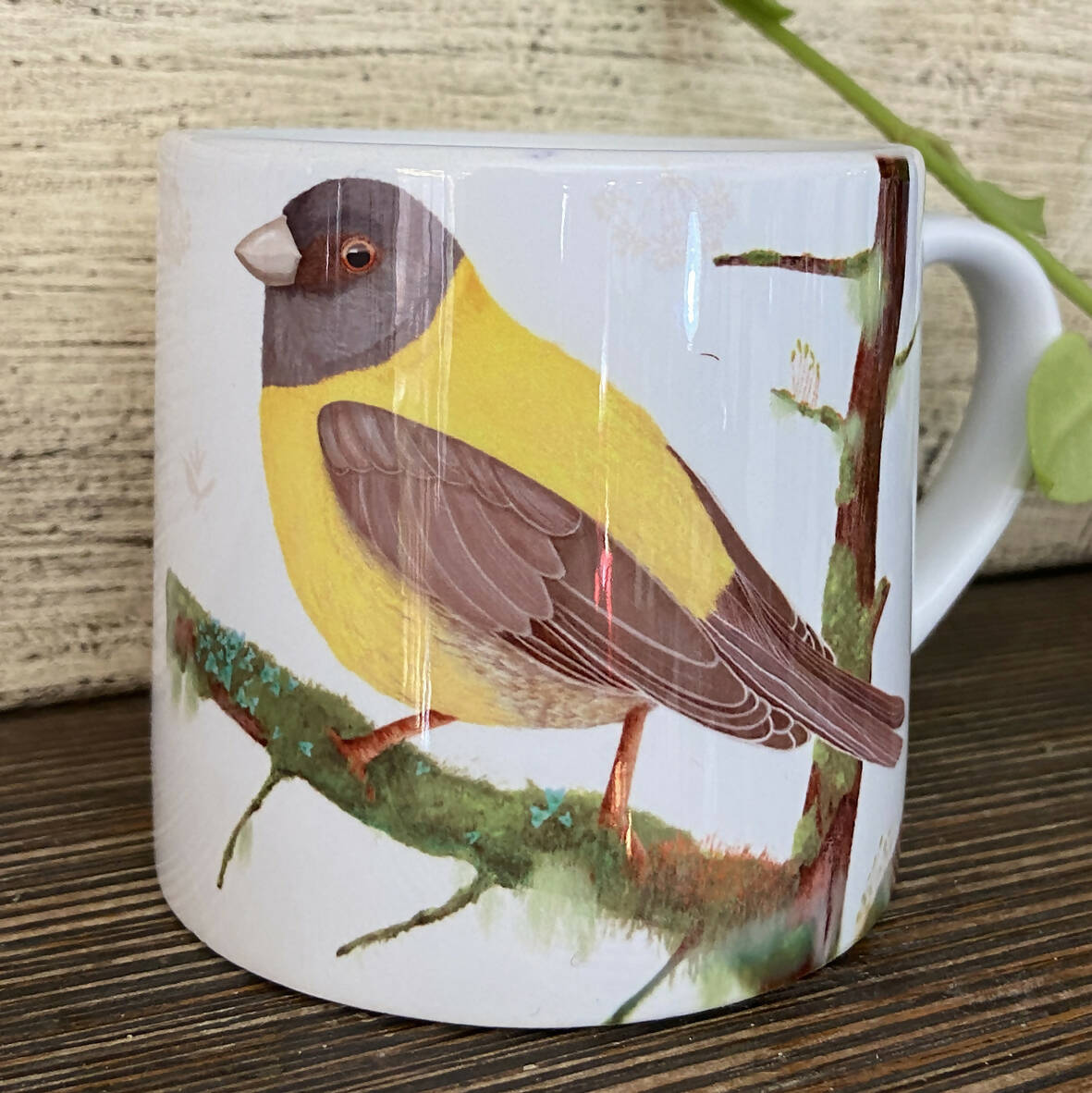 Taza de café Cometocino, pajaritos chilenos