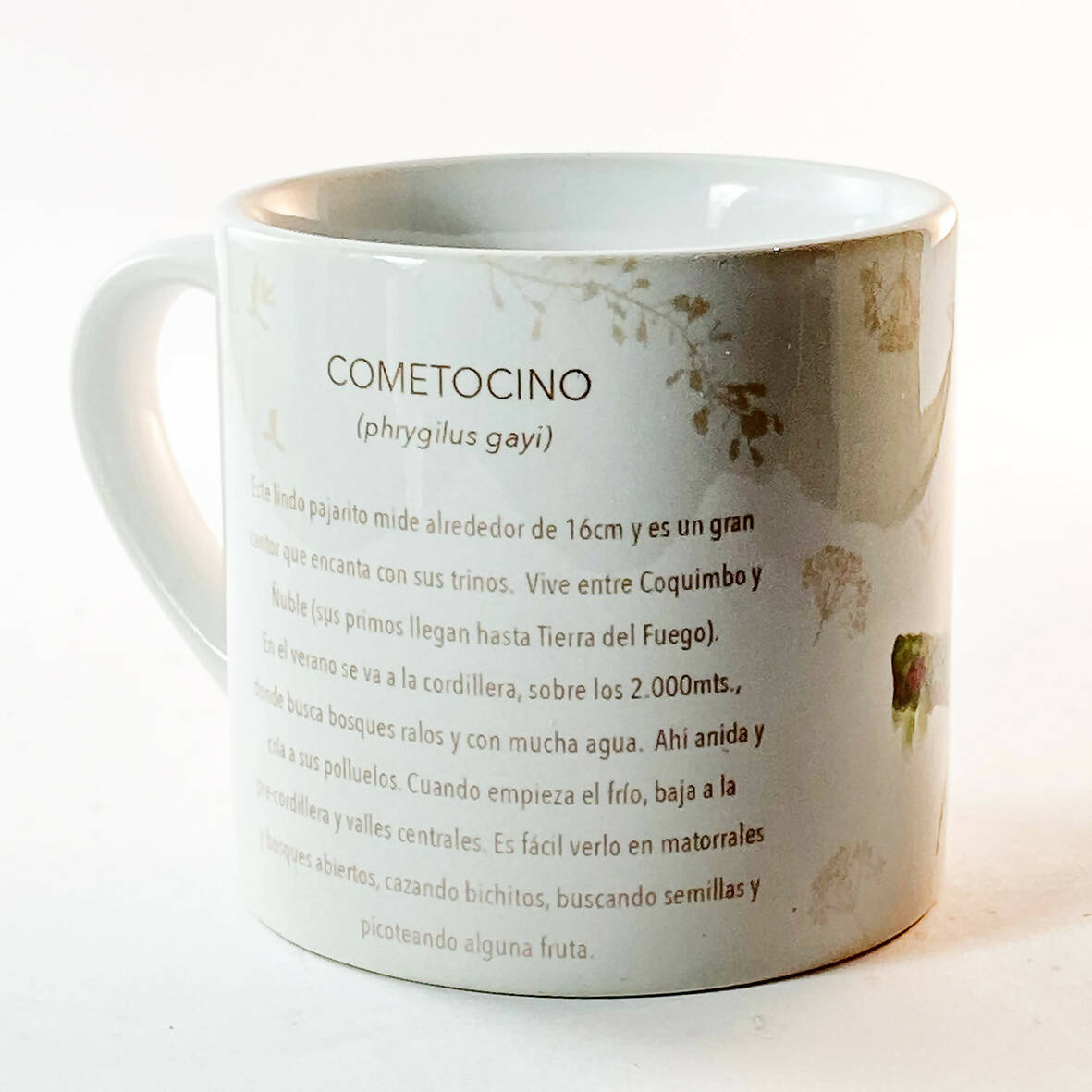 Taza de café Cometocino, pajaritos chilenos