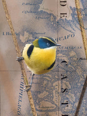 Sietecolores Arte Escala - Lámina