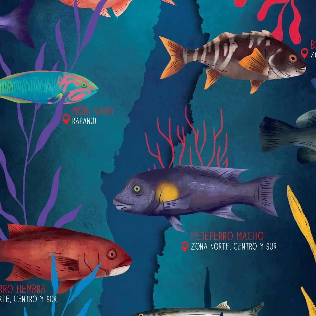 Mapa de Chile Bajo el Mar - Lámina - Mappin