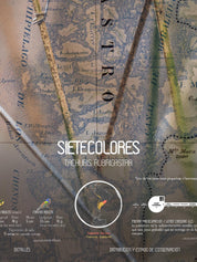 Sietecolores Arte Escala - Lámina