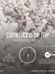 Cometocino Arte Escala - Lámina - Mappin