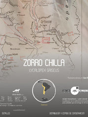 Zorro Chilla Arte Escala - Lámina