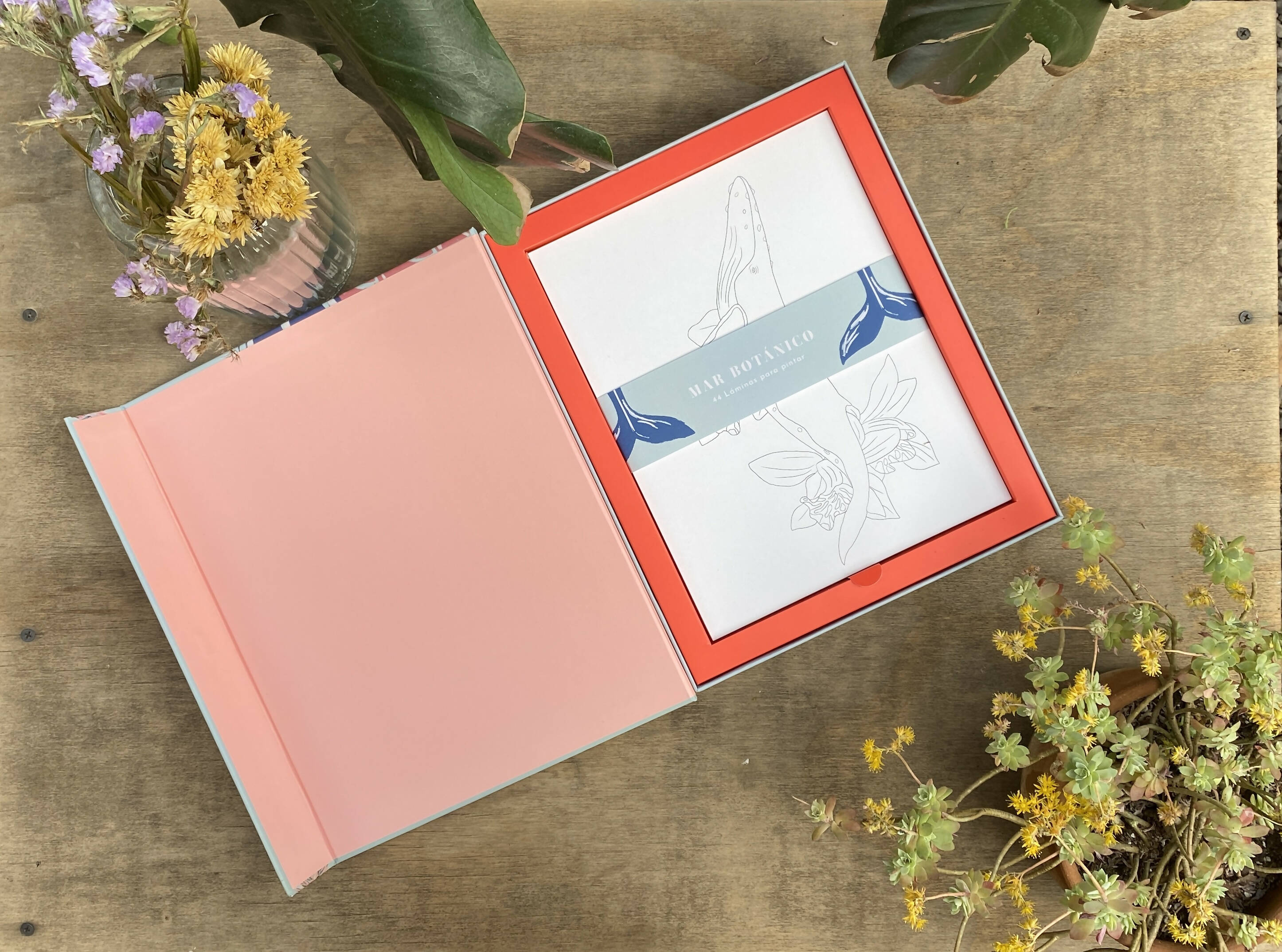 Caja Mar Botánico con 44 láminas para colorear