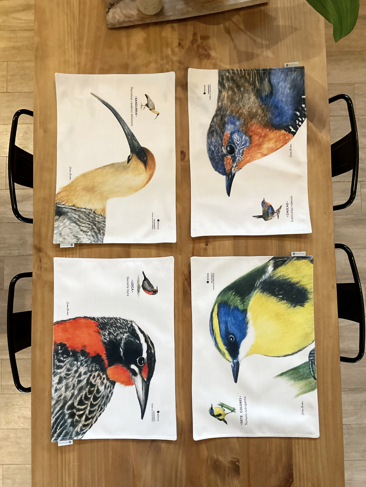 SET 4 INDIVIDUALES DISEÑO AVES II