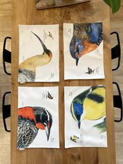SET 4 INDIVIDUALES DISEÑO AVES II