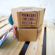 Juego Memorice: Aves de Chile