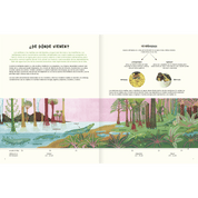 Agua y tierra, anfibios y reptiles de América