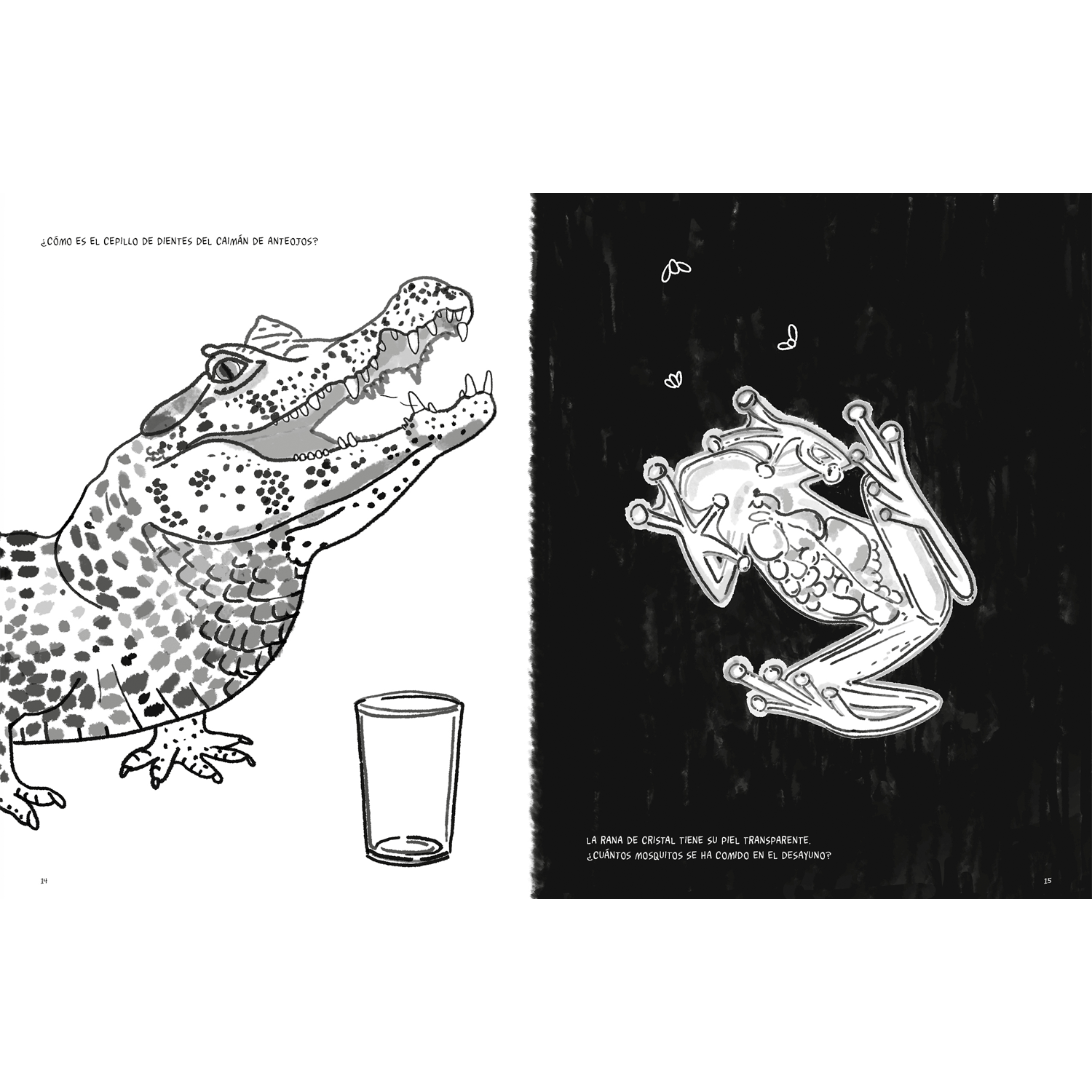 Anfibios y reptiles, bitácora para imaginar