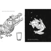 Anfibios y reptiles, bitácora para imaginar