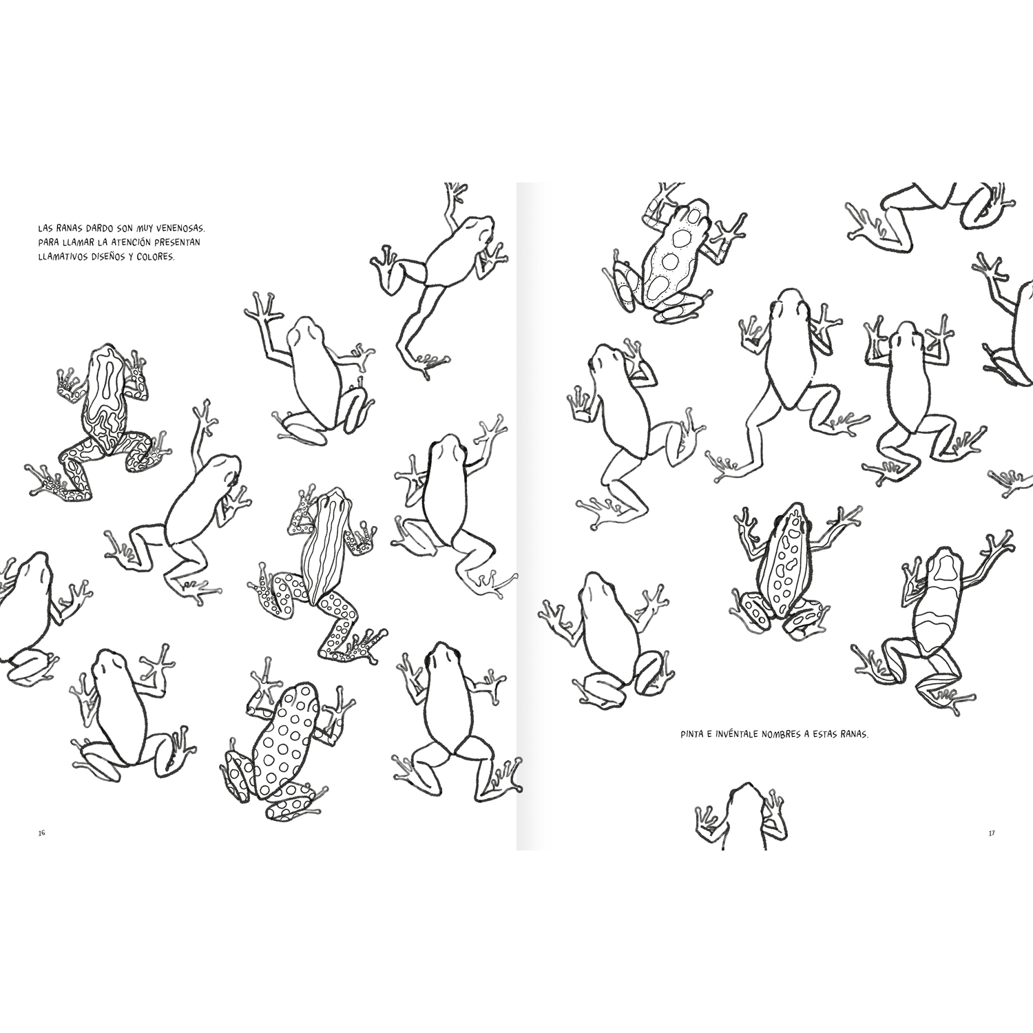 Anfibios y reptiles, bitácora para imaginar