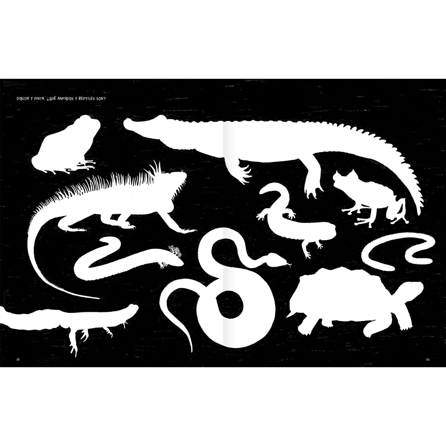 Anfibios y reptiles, bitácora para imaginar