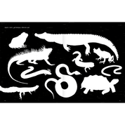 Anfibios y reptiles, bitácora para imaginar