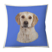 Cojín Color Golden, 45×45