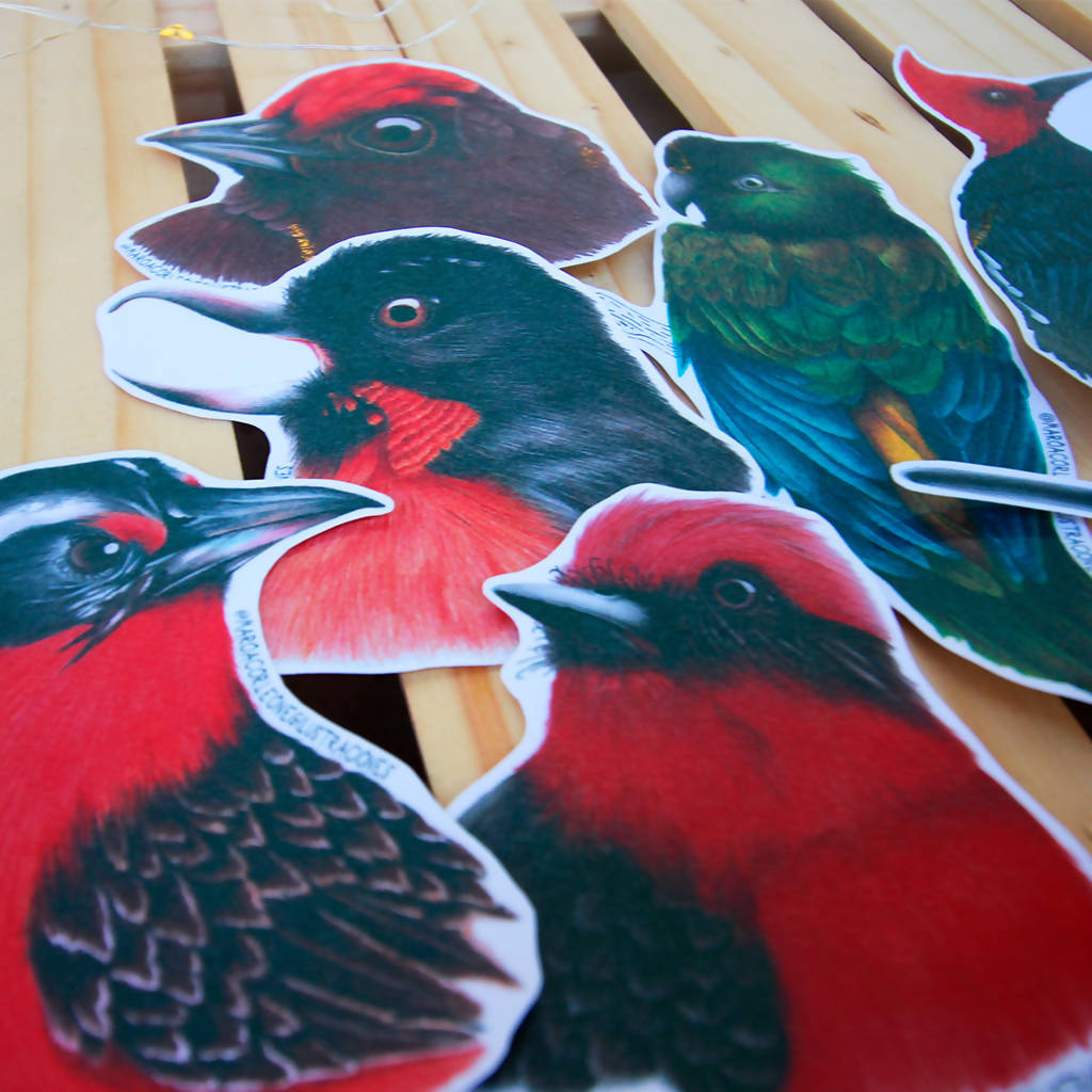 Set de Stickers: "Colección Aves de Chile"