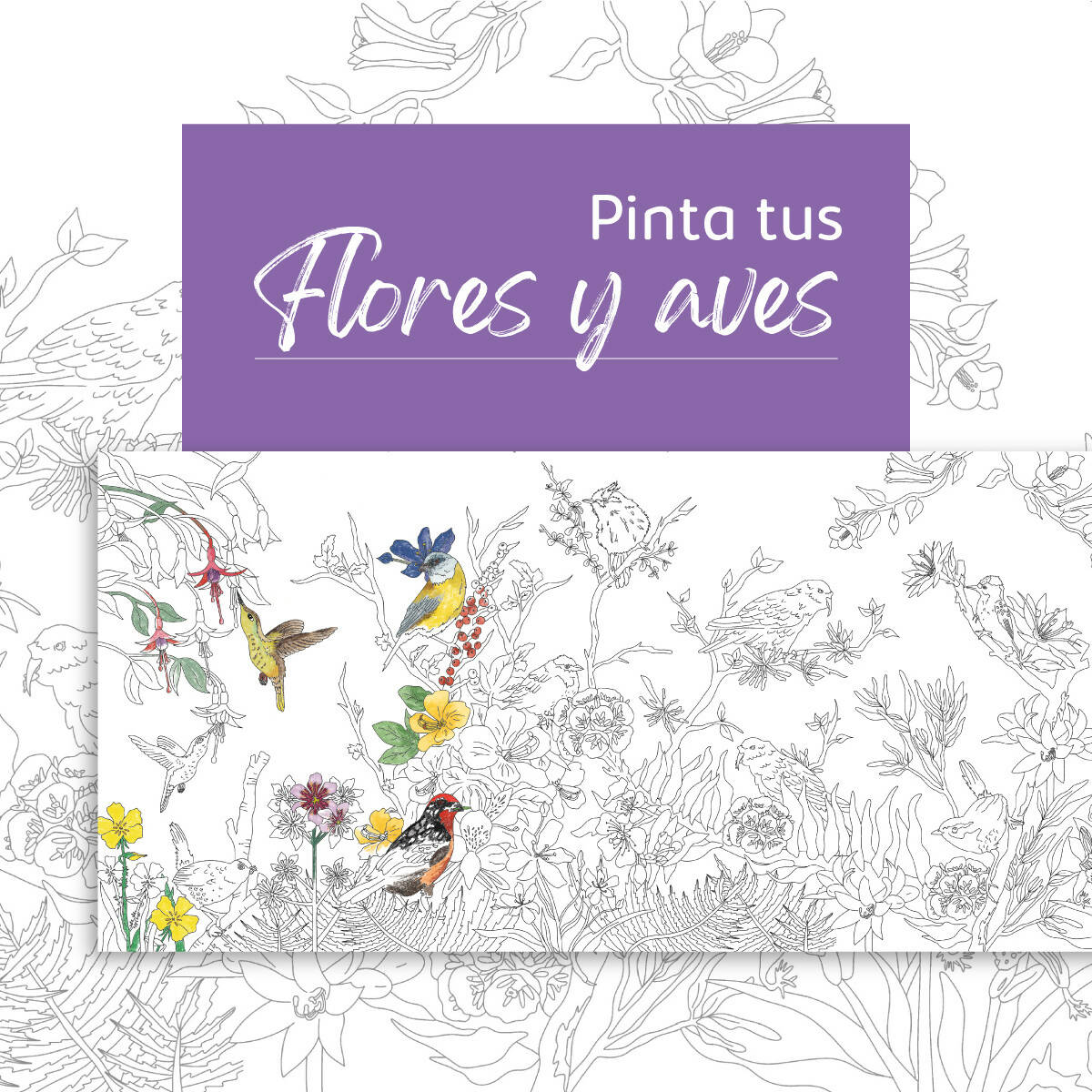 Coloring roll "Flores y Aves"