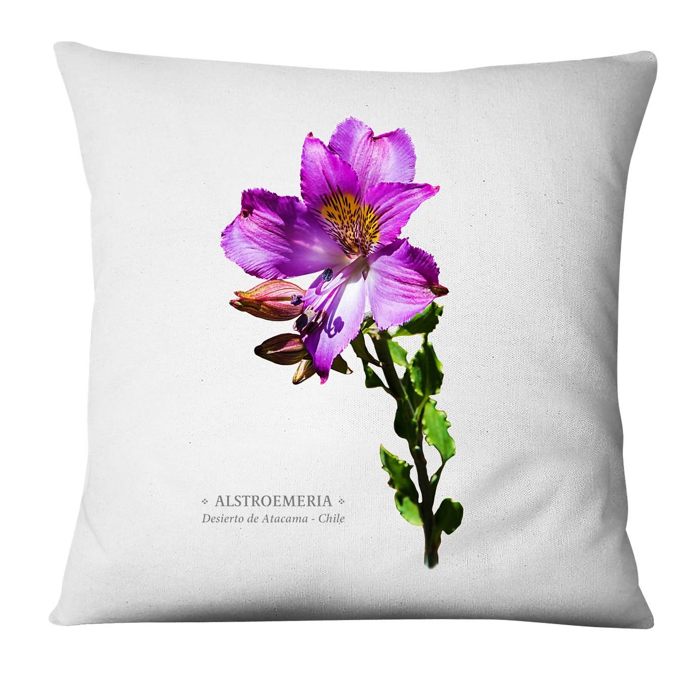 Funda cojín Astromelia - Desierto de Atacama