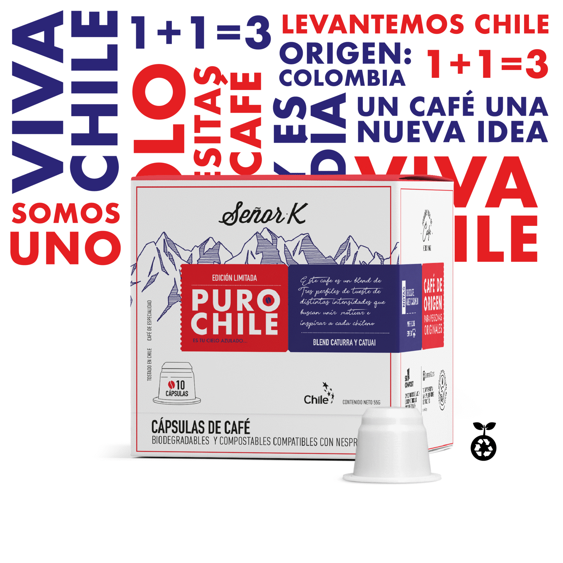 PURO CHILE