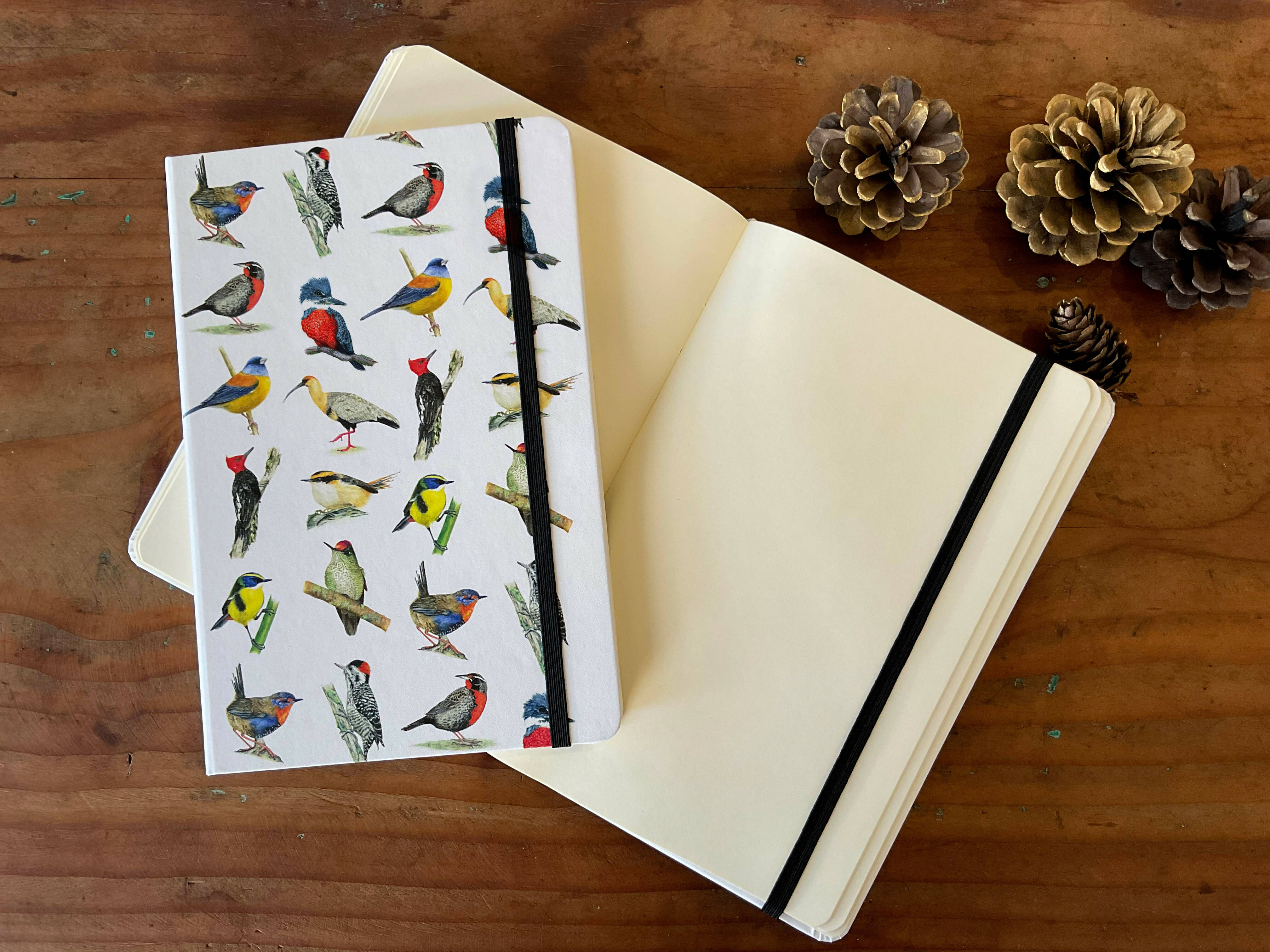 Libreta AVES II