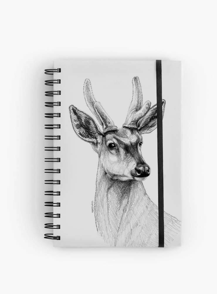 Cuaderno huemul