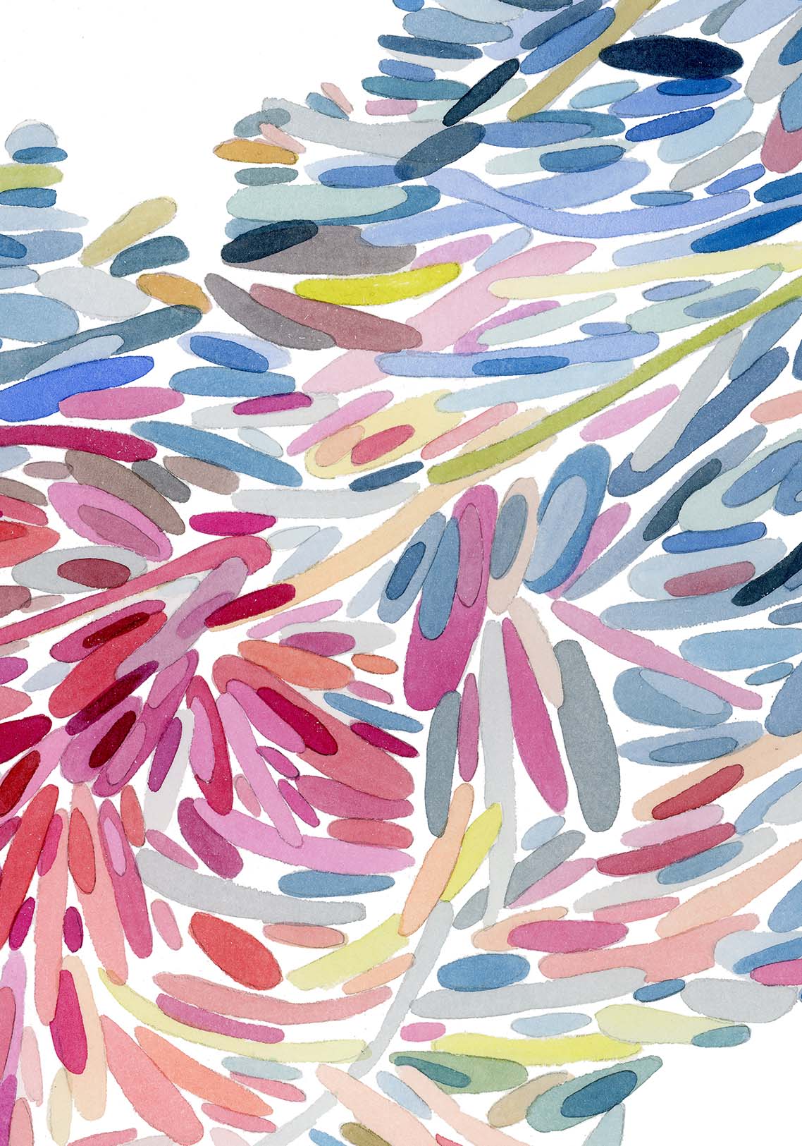 Santiago Orgánico - Lámina