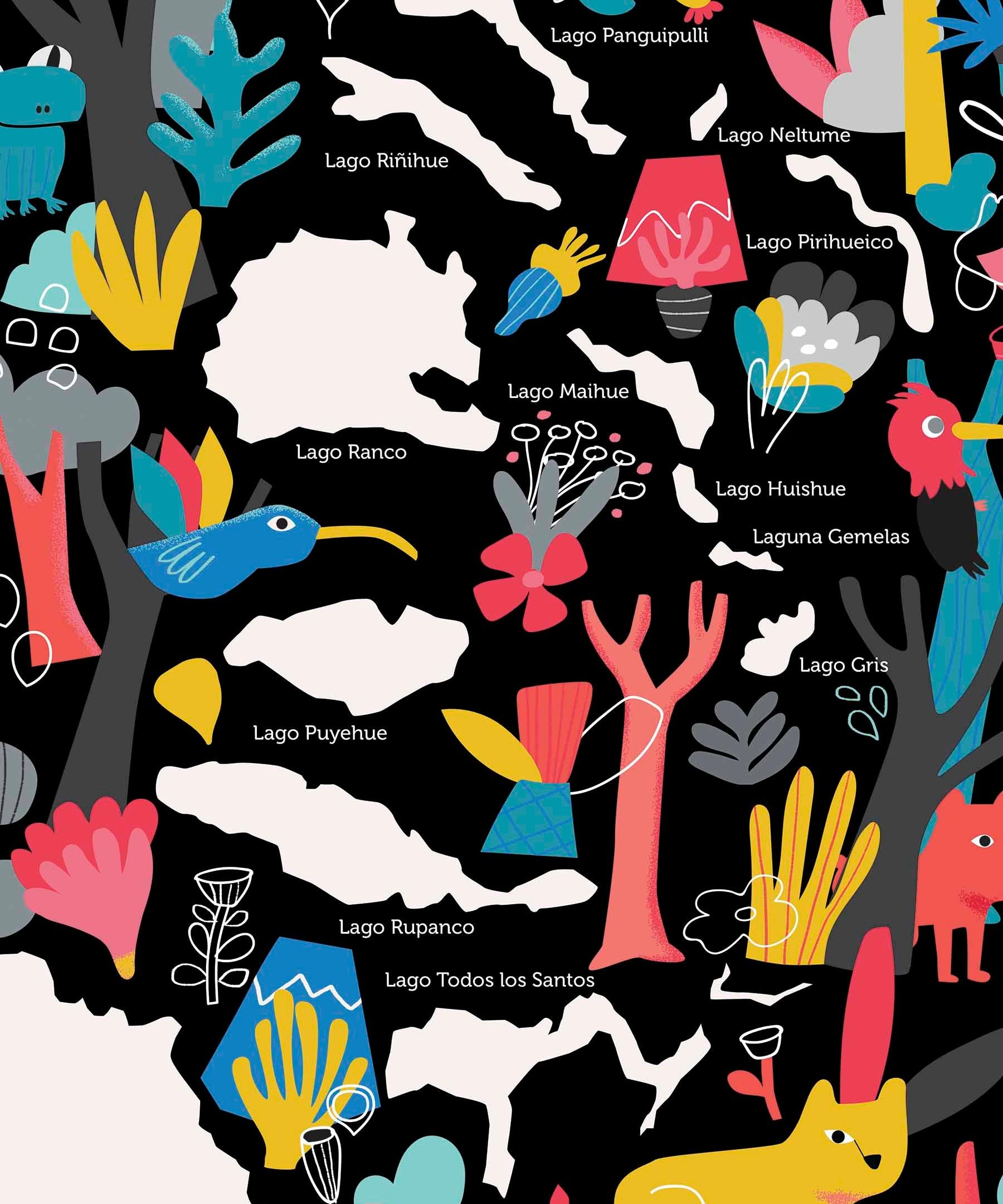 Mapa de Los Lagos del Sur de Chile - Lámina - Mappin