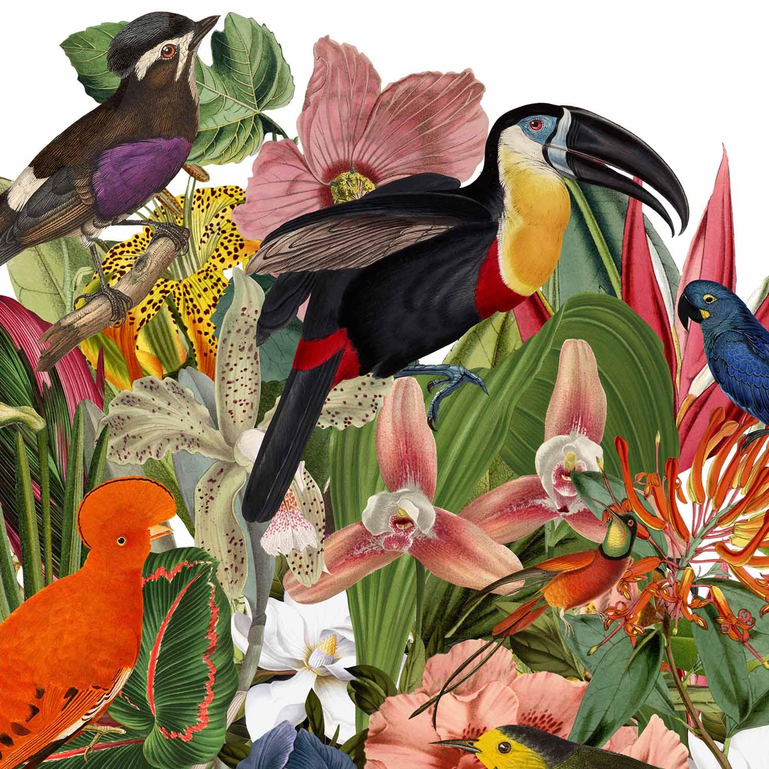 Flor de Sudamérica Blanco - Lámina - Mappin