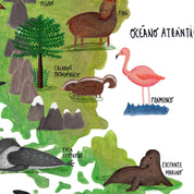 Patagonia Ilustrada - Lámina - Mappin