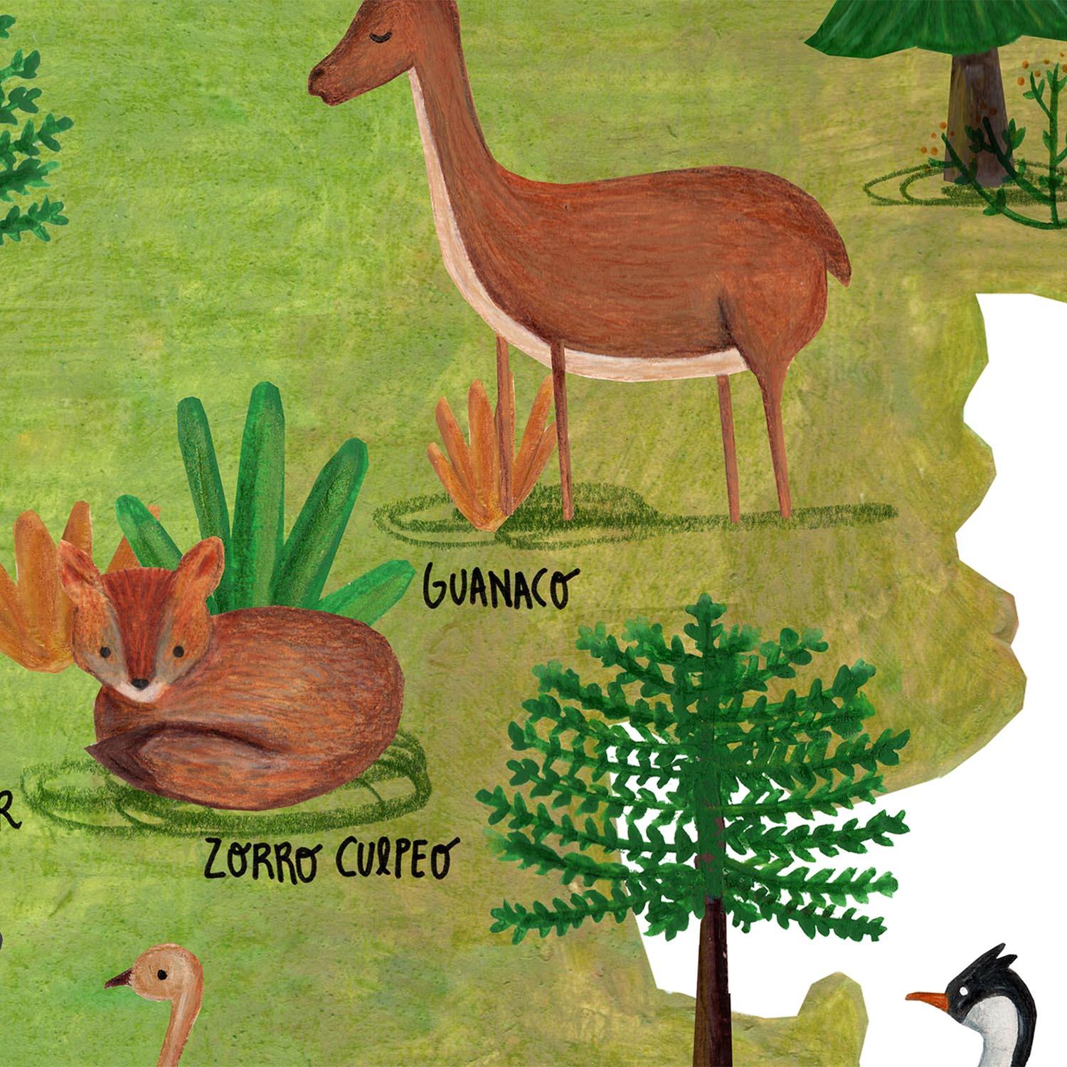 Patagonia Ilustrada - Lámina - Mappin