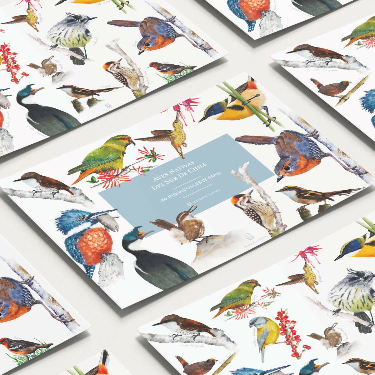 Aves