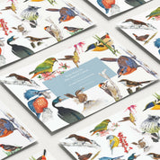 Aves