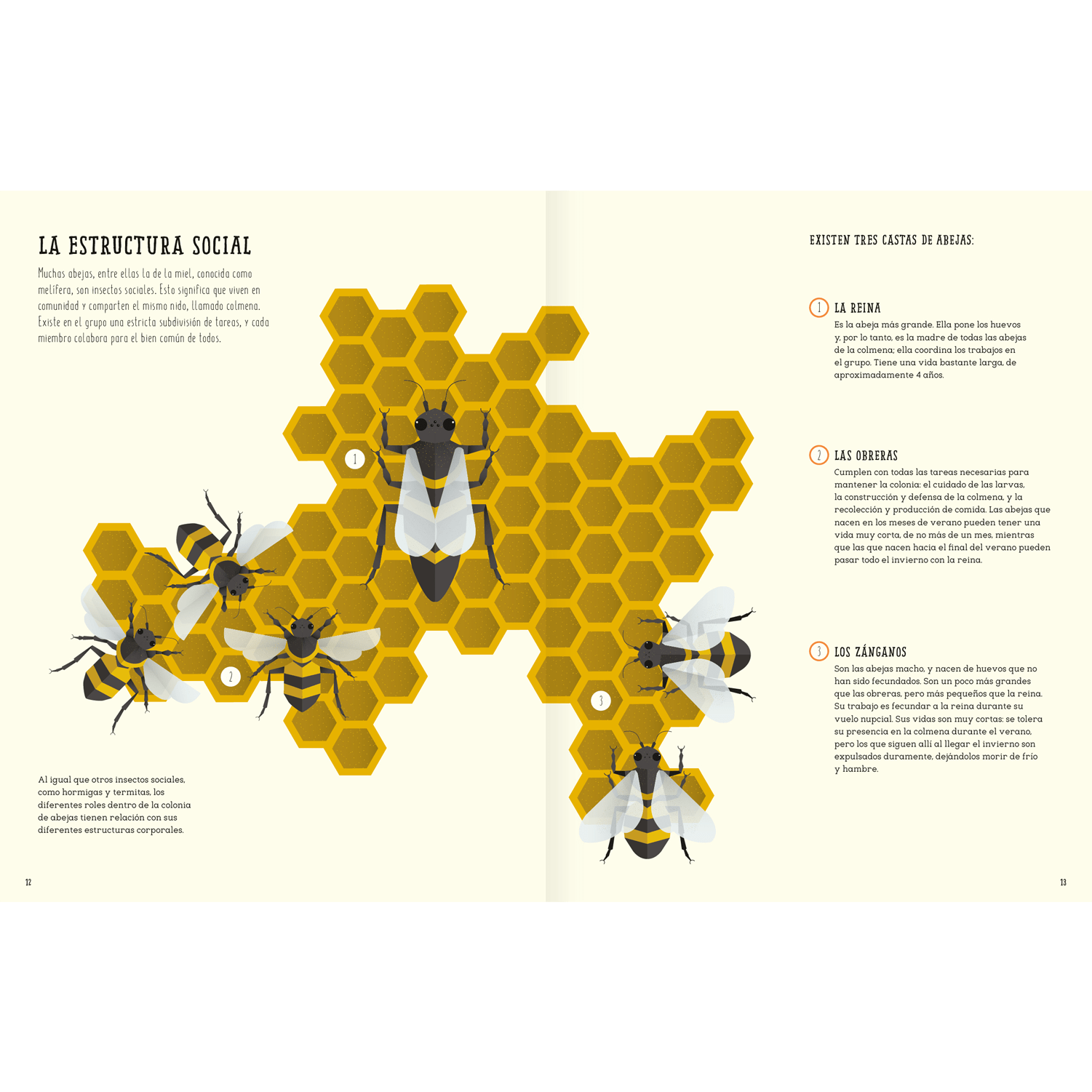 El mundo de las abejas